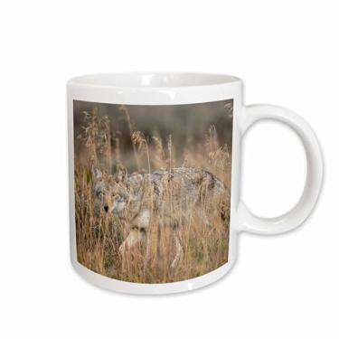 Imagem de 3dRose, Caneca Mountain Coyote, Grand Teton National Park, Wyoming, selvagem, 325 ml