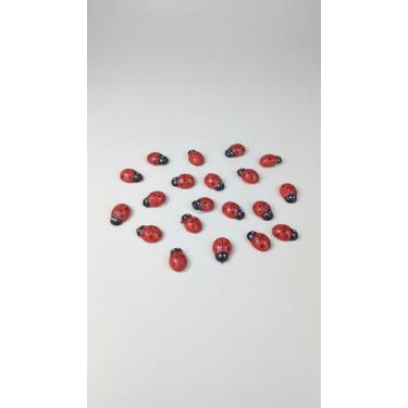 Imagem de Mini Joaninhas Decorativas Madeira 20 Unidades - Congratulations Store