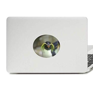 Imagem de Decalque de notebook com emblema de vinil da imagem do pinguim da Antártica natureza ciência do mar