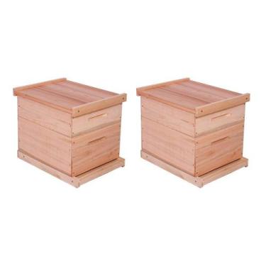 Imagem de KIT 2 Caixas Abelha Padrão Langstroth Eucalipto - Beethoven Agropet