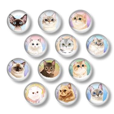 Imagem de 12 peças de ímãs de geladeira de vidro – Kroysea Ímãs de geladeira decorativos magnéticos fortes para cozinha, escritório, armário e máquina de lavar louça... (gato 2)