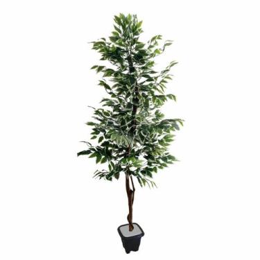 Imagem de Planta Artificial Árvore FICUS VARIEGATA 1,80 metros de altura - Flora