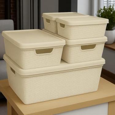 Imagem de Caixa Organizadora com Tampa Kit 5 Peças Cesto Grande em Plástico 1,8 L 5 L 15 L - Rv-Ecommerce (Bege)