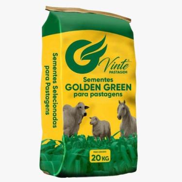 Imagem de Capim Aruana - 20kg De Sementes - SEEDS