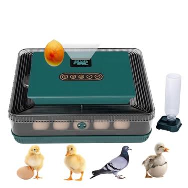 Imagem de Ovatt Máquina incubadora digital de aves para incubação de 25 ovos com giro automático de ovos, controle de temperatura e umidade e velador de ovos, para incubação de ovos de frango, pato, c