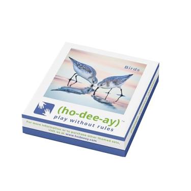 Imagem de (ho-dee-ay) Birds - Dementia Activity Developed by Caregivers - a Great Gift for Seniors - Simple and Engaging Photo Cards