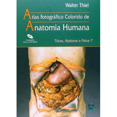 Imagem de Livro - Atlas Anatomia Humana