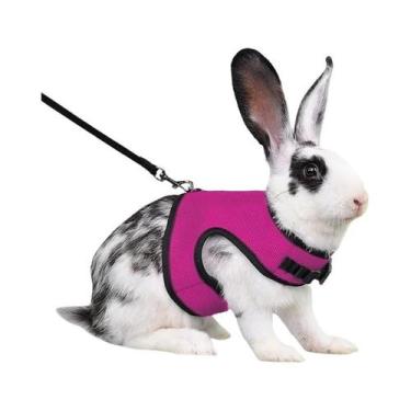 Imagem de Colete Respirável Multicolorido Com Arnês Ajustável E Conjunto De Guia