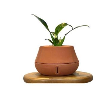 Imagem de Vaso Inteligente Brota Cuia P Autoirrigável Decoração Planta