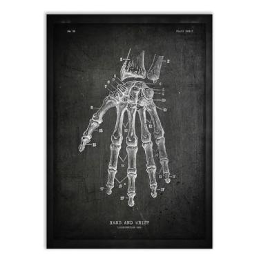 Imagem de Quadro Decorativo Mão E Pulso Medicina Biologia Decoração Escritório