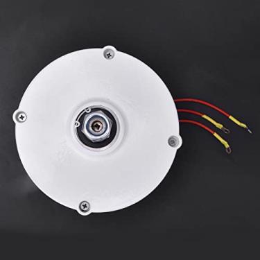 Imagem de Gerador de ímã Permanente de 100w, Resistência à Temperatura Alta/baixa, Economia de Energia, Instalação Fácil, Uso Industrial, 12V, NE-100, Com Alta Eficiência, para Várias