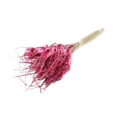 Imagem de Capim Estrela Flor Desidratada Buque Flores Secas - Pense Flores, Rosa