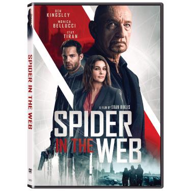 Imagem de Spider In The Web