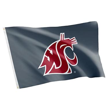Imagem de Desert Cactus Washington State University Cougars WSU Cougs Wazzu 100% poliéster interior exterior 3 pés x 5 pés bandeira (bandeira 4)