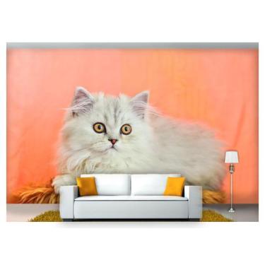 Imagem de Papel De Parede Animais Gato Cinza 3D Anm108 - Você Decora