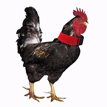 Imagem de Coleira de galo sem corvo com 5 sacos, Keep Roosters Quiet Noise Neckband Nylon No Crow Rooster Collar Noise Neck Belt Pet Chicken Supply for House