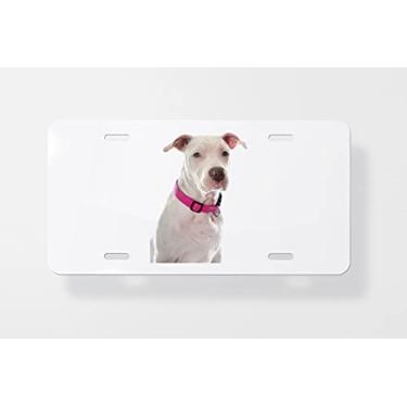 Imagem de Capa para placa de carro Young Pitbull Terrier – Capa para placa de carro – Capa para placa de carro 15 x 30 cm