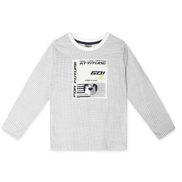 Imagem de Infantil - Camiseta Manga Longa Masculina Tigor T. Tigre  menino