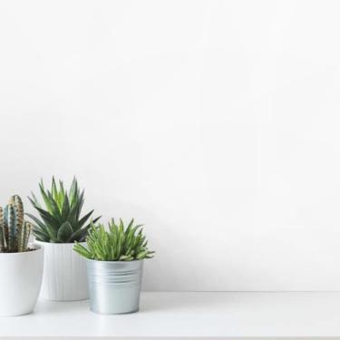 Imagem de Papel Adesivo Branco Brilhante Para MóVeis E Parede, Autocolante LaváVel, Envelopamento Decorativo(9,00M)