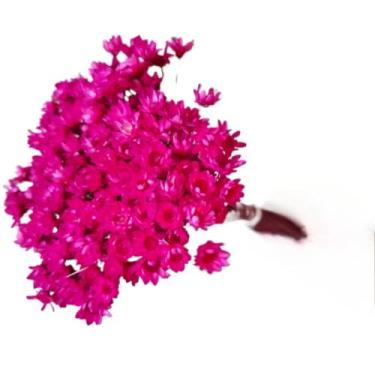 Imagem de Buque de Flores Artificiais Sempre Viva - Kit com 1.600 Flores, Tipo 1 Extra, Arranjo Decorativo para Presentes e Decoração(Rosa Pink,1 buquê (200 florzinhas))