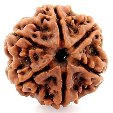 Imagem de EDMIRIA Miçangas Rudraksha Nepalês 2 Mukhi 3 Faces, 4 Mukhi, 5 Faces, 6 Mukhi, 7 Mukhi Certified Natural Himalaia Rudrakhsha Beads para cura, Pooja, meditação, oração, Japa, 15 mm, Madeira, Sem Pedra
