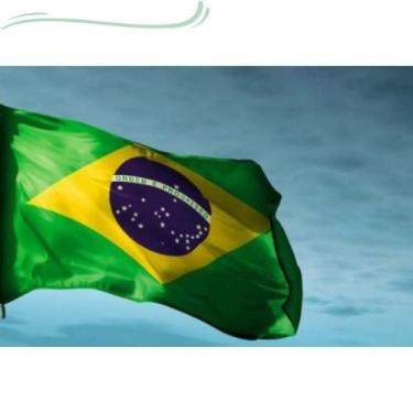 Imagem de Kit 10 Bandeiras do Brasil 1,50x0,90mt Oficial - WCAN