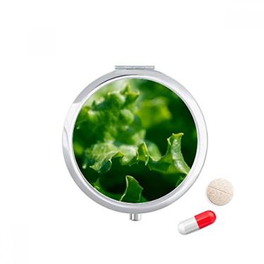 Imagem de Porta-comprimidos, porta-comprimidos, porta-comprimidos, plantas, natureza