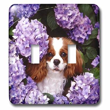 Imagem de 3dRose Interruptor duplo Cavalier King Charles Spaniel lsp_61913_2