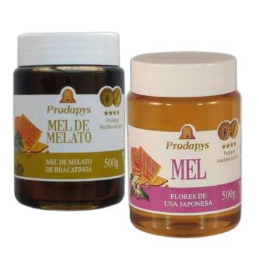 Imagem de Mel Melato de Bracatinga e Uva Japonesa 500g - Prodapys, Unissex, Marr