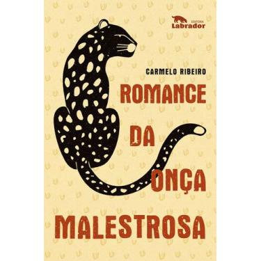 Imagem de Livro - Romance da onça malestrosa