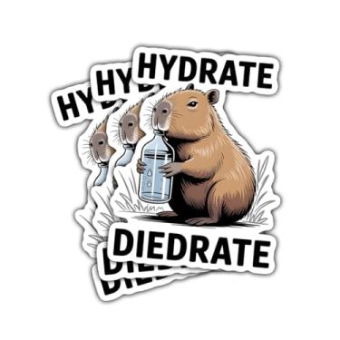 Imagem de Adesivo de garrafa de água com capivara hidratada, 3 peças, decalque de vinil divertido para adolescentes, adultos, fãs de capivara, laptop, carro, notebook, cantil hidro, scrapbook, garrafa de água