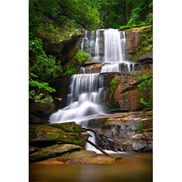 Imagem de Yeele Cenário de cachoeira de 1,8 x 2,4 m para fotografia Parque Nacional Tropical Floresta Floresta Selva Fundo em cascata Fluxo Natureza Paisagem Viagens Crianças Adulto Foto Cabine Atirar Vinil Estúdio Adereços