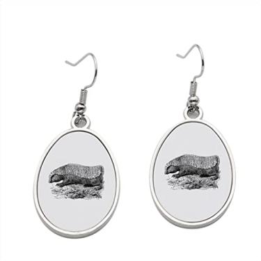 Imagem de Brinco de fada rosa Armadillo ou Pichiciego ou Chlamyphorus Truncatus Vin - Brincos pendentes para meninas - Presente de festa de aniversário dos namorados