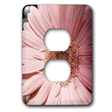 Imagem de 3dRose Lsp_7497_6" Capa de tomada rosa Gerbera 2 plugues multicolorida