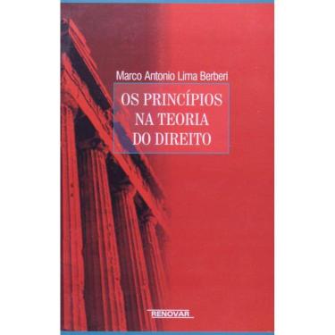 Imagem de Principios Na Teoria Do Direito, Os