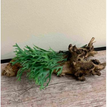 Imagem de 2 Buquê de Chifre de Veado Planta Artificial com Folhagem Exótica e El