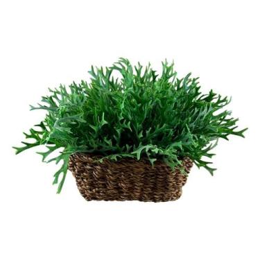 Imagem de 10 Buquê de Chifre de Veado Planta Artificial que Encanta pela Beleza 