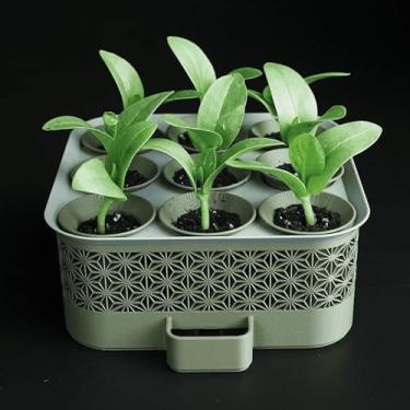 Imagem de Kit de Iniciação de Sementes com Irrigação Automática e Tampa Estufa – Cultivo Prático e Inteligente em Casa