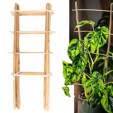 Imagem de Avalution Treliça de Bambu Natural de 10 Pacotes para Plantas Trepadeiras Treliça de Escada de Jardim Ao Ar Livre de 16 ", Treliça de Suporte de Planta Em Forma de Ventilador para Vasos de Plantas