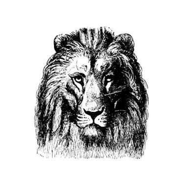 Imagem de e.x.o.b.o | Notizbücher: Umfangreiches und exotisches Blanko-Journal mit einzigartiger Vintage-Handzeichnung (Löwe)