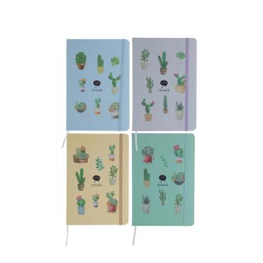 Imagem de Caderneta Le com Pauta Brochura Capa Dura Cacto 160 Folhas 21x14cm - Item Sortido