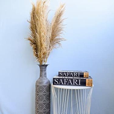 Imagem de Kit com 3 Hastes de Capim Dos Pampas Desidratado