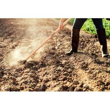 Imagem de Enxada Estreita Canavieira 2.5 Tramontina em Aço com Cabo de Madeira 1