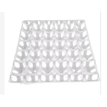 Imagem de Porta Ovo Cartela Plástica Para 30 ovos Bandeja Higiênica - Generica, 