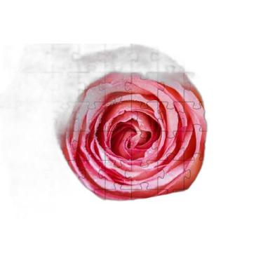 Imagem de 4 Quebra-Cabeças De Flores Diversão Inclusiva 60 Peças - Coleção Tea &