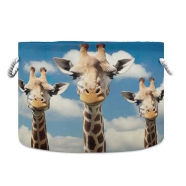Imagem de Wassud Três girafas (2) cestas redondas de tecido de lona com alças, caixas de armazenamento de animais de pelúcia cesta de lavanderia para roupas cobertores de toalha, 50 x 35 cm
