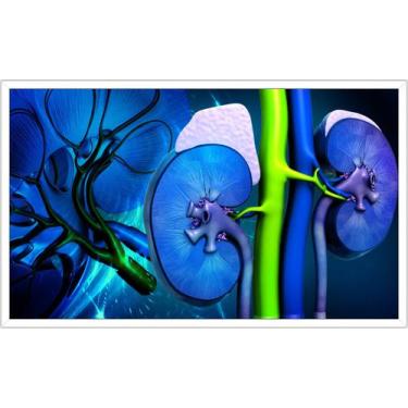 Imagem de Quadro Decorativo Medicina Médicos Consultórios Salas Moldura Branca Q