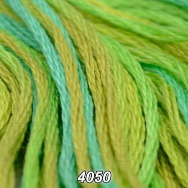 Imagem de Linha DMC Color Variations 8m, 4050