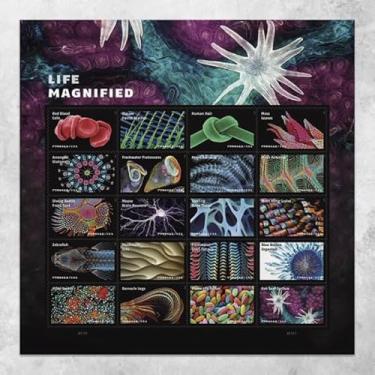 Imagem de Selos US 2023 SC#5802, Life Magnified Forever (Versão de 20) MNH VF
