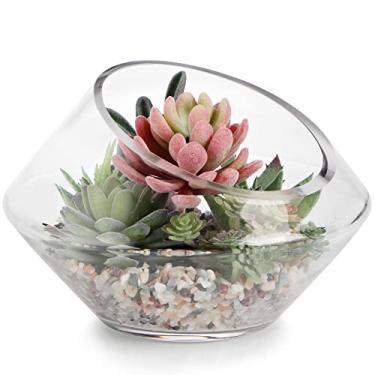 Imagem de MDLUU Glass Bowl with Slanted Opening, 7.8" W×5.5" H Glass Globe Terrarium, Glass Candy Dish, Table Centerpiece Container for Flower, Succulent, Potpourri